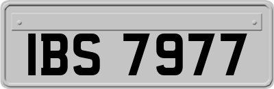 IBS7977