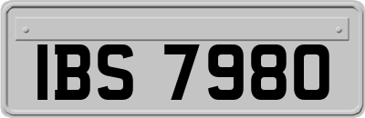 IBS7980