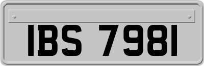 IBS7981