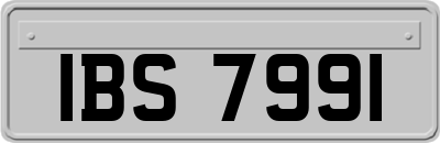 IBS7991