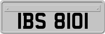 IBS8101
