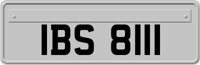 IBS8111