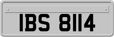 IBS8114