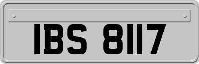 IBS8117