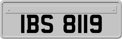 IBS8119