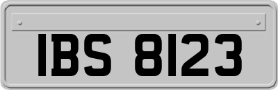 IBS8123