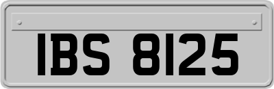 IBS8125