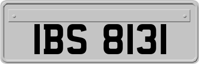 IBS8131