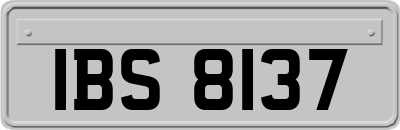 IBS8137