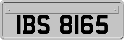IBS8165