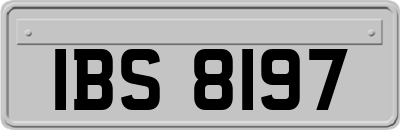 IBS8197