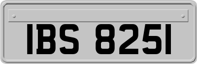 IBS8251