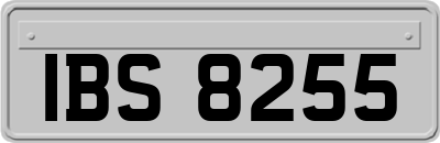 IBS8255