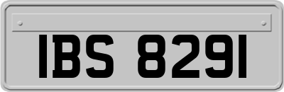 IBS8291