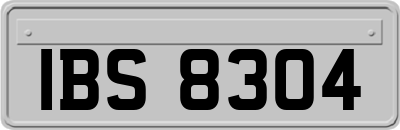 IBS8304