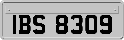 IBS8309