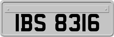 IBS8316