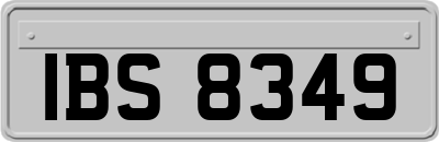 IBS8349