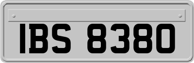 IBS8380