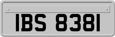 IBS8381