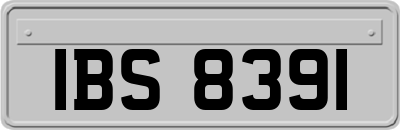 IBS8391