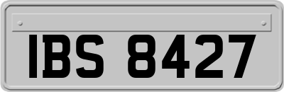 IBS8427