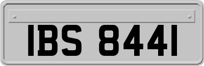 IBS8441