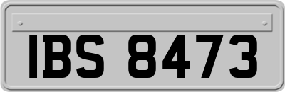 IBS8473