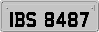 IBS8487