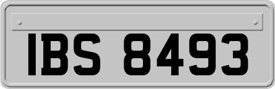 IBS8493