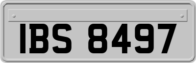 IBS8497