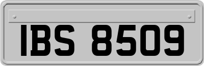 IBS8509