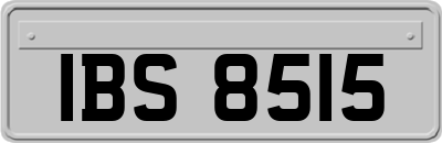 IBS8515