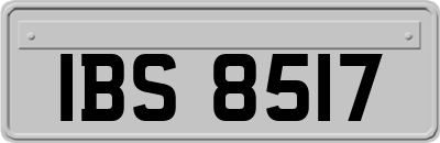 IBS8517