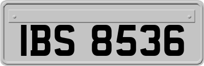 IBS8536