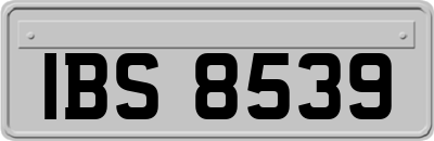 IBS8539