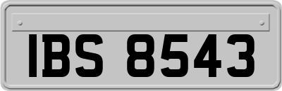 IBS8543