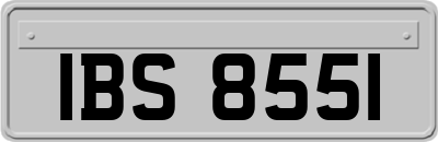 IBS8551