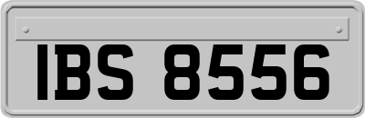 IBS8556