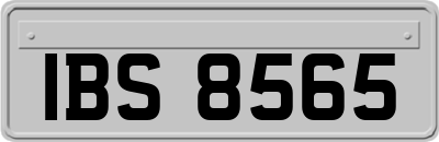 IBS8565