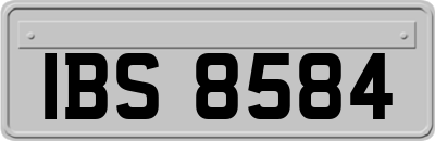IBS8584