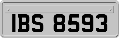 IBS8593