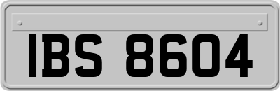 IBS8604