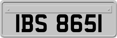 IBS8651