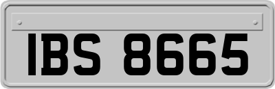 IBS8665
