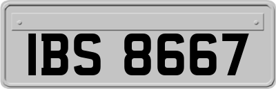IBS8667