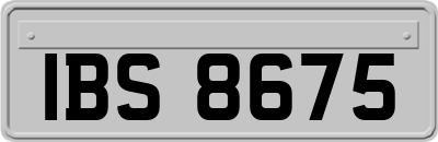 IBS8675