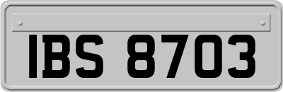 IBS8703