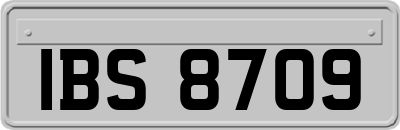 IBS8709