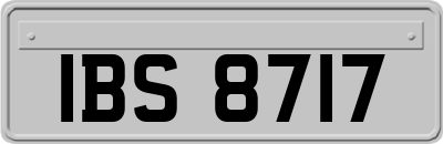 IBS8717